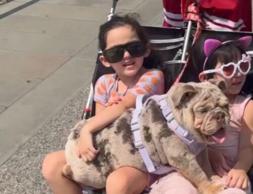 Cassie Gives Birth To Third Child