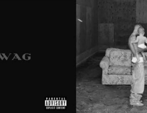 Justin Bieber Drops Surprise Album Swag