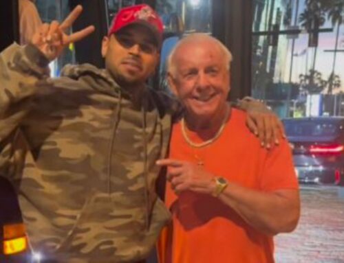 Chris Brown Recently Lived Out One Of His Childhood Dreams