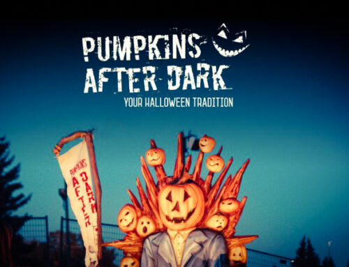 Fall Nights Glow Up: Pumpkins After Dark