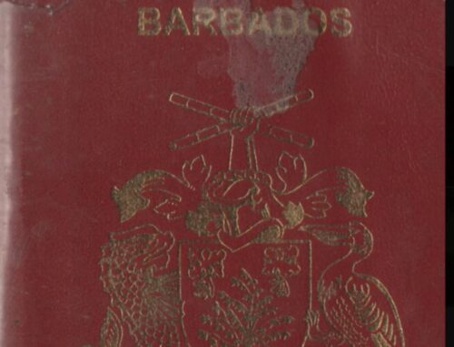 Rihanna Celebrates Barbados’ 59th Independence Day With Adorable Family Photos