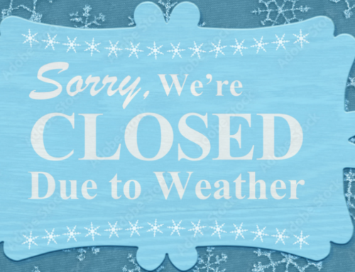 Toronto And GTHA Schools, Bus Cancellations: Full List Of Closures And Weather Impacts