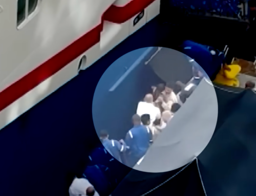 Mother Jumps Off Cruise Dock After Four Year Old Daughter Falls Into Water