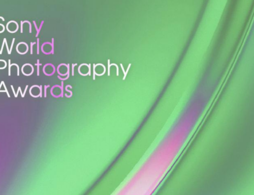 Sony World Photography Awards/Competition Return for 2026