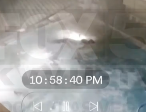 Viral Video Shows Car Crashing Into Yard and Into Pool