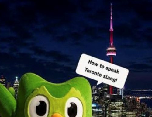Toronto Slang Is Officially on Duolingo — And “Crodie” Is About to Go Global