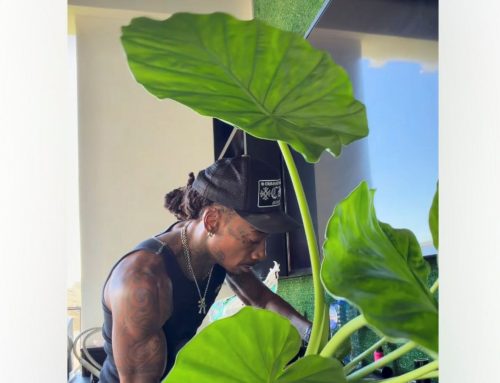 Who Knew Wiz Khalifa Was A Plant Daddy!?!